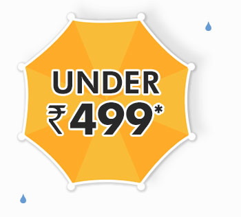 Under Rs. 499