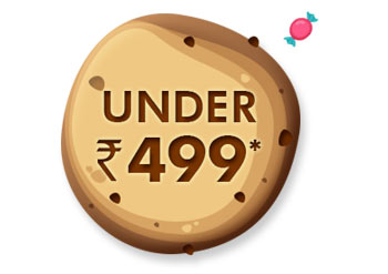 Under Rs. 499*