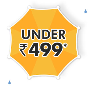 Under Rs. 499