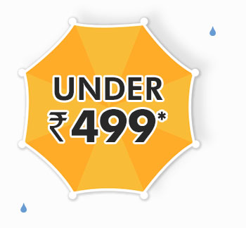 Under Rs. 499