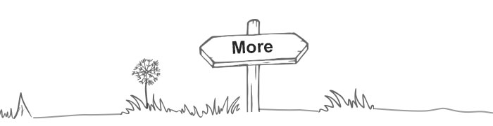 More More