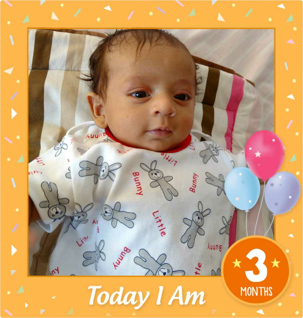 rye pillow for babies