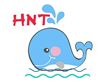HNT Kids HNT Kids