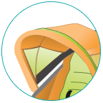 Canopy Canopy