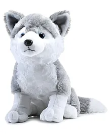 Webby Big Size Plush Husky Dog Stuffed Animal Puppy Soft Toy, Adorable Gifts - Height 40 cm