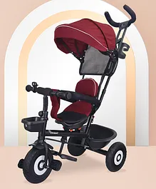 R for Rabbit Tiny Toes T40 Plus Tricycle - Maroon & Black