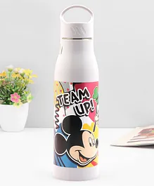 Disney Mickey Mouse Insulated Bottle Multicolor - 550 ml