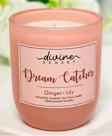 Divine Senses Ginger Lily Pink Scented Jar Candle Natural and Aromatic Soy Wax Candle for Home Decor