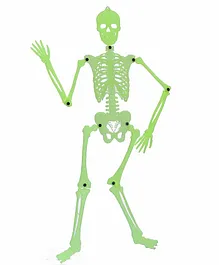 Buddyz Glow in the Dark Skeleton Medium - Green