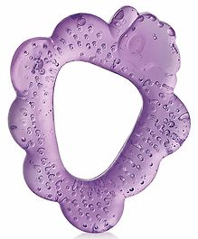 BeeBaby Fruit Grapes Teethers for 3 to 6 Months BPA Free. Cooling Water Filled Baby Teether, Soft Teething Toy for Babies with Carry Case Soothes Gums and Easy to Grip (3 Months+) (Grapes - Violet)