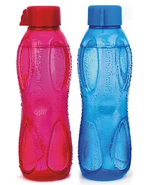 Signoraware Aqua  Water Bottle 500 ml [Set of 2]