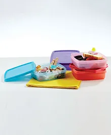 Signoraware Smart 'n' Slim Lunch Box, (Set of 1), (Colors May Vary)
