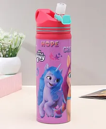 My Little Pony Steel Water Bottle - 500 ml