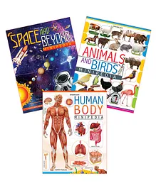 Dreamland Publications Minipedia Series Set of 3 Books - English