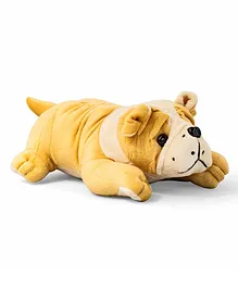Funzoo Bull Dog Soft Toy - Length 25 cm (Color May Vary)