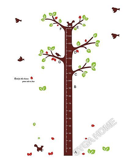 Syga Tall Tree Growth Chart Brown Green Online In India At Best Syga Tall Tree Growth Chart Brown Green