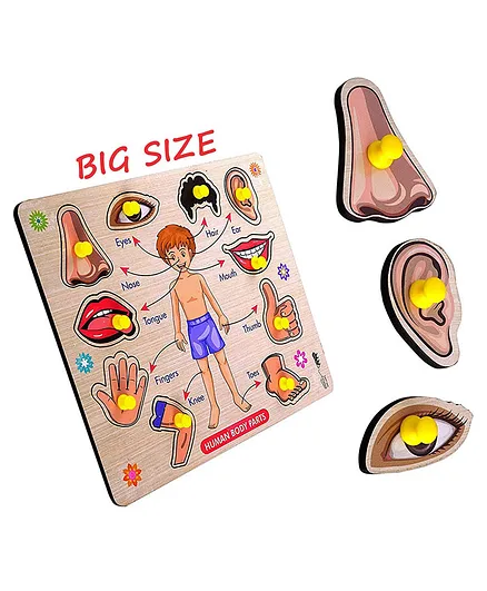 Enorme Big Wooden Human Body Parts Puzzle with Knobs Multicolour - 10 Pieces