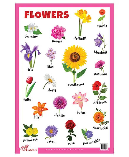 Flowers Educational Chart - English
