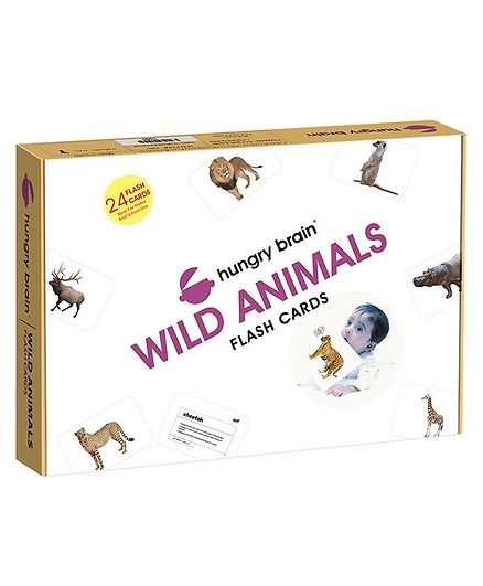 Hungry Brain Wild Animals Flash Cards - Multi Color