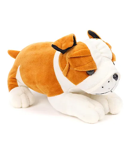 Play Toons Puppy Soft Toy - 25 cm (Color May Vary)