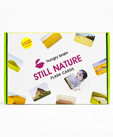 Hungry Brain Still Nature 24 Flash Cards - Multicolor