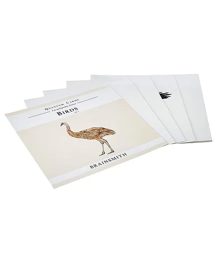 Brainsmith Birds Quantum Flash Cards - 10 cards