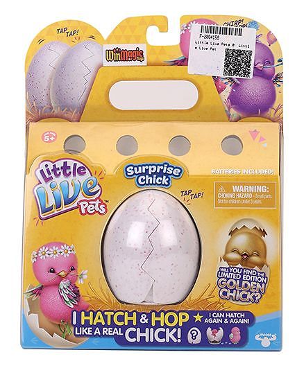 Little Live Pets S1 Surprise Chick Single Pack Patty - Violet