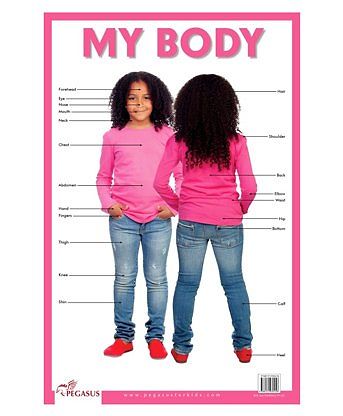 Human Body Chart - English