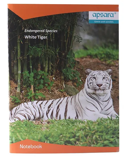 Apsara Double Line Note Book - 172 Pages