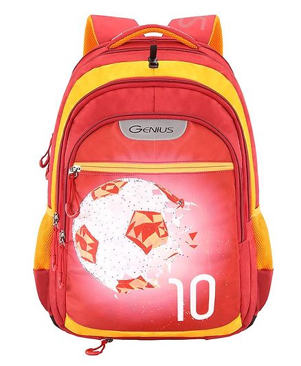 Genius Swaz Backpack Teal - 17 Inches