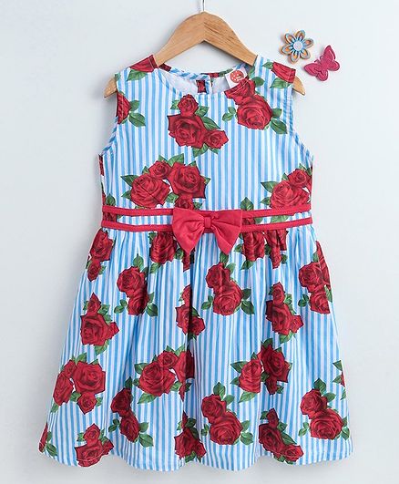 Dew Drops Sleeveless Floral Printed Frock - Blue Red