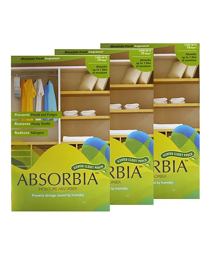 Absorbia Hanging Pouch Mountain Fresh Family Pack of 3 - 400 gm Each
