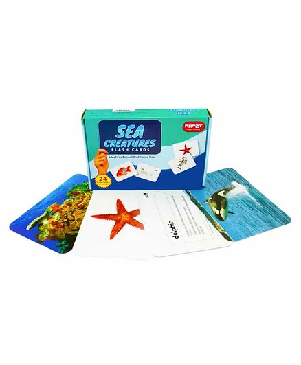 Krazy Sea Creatures Flash Cards - 24 Cards