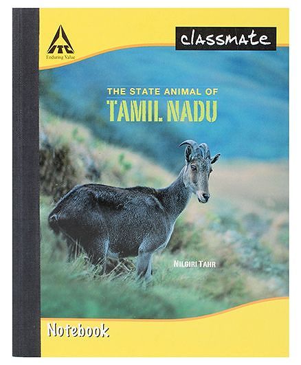 Classmate Notebook Single Line Ruling - 92 Pages