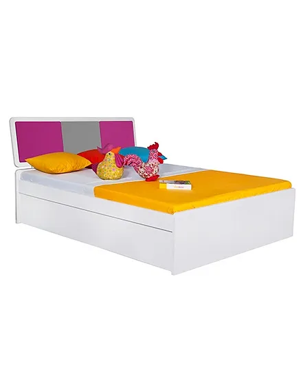 Alex Daisy Young America Wooden Queen Size Bed - Majenta and Grey