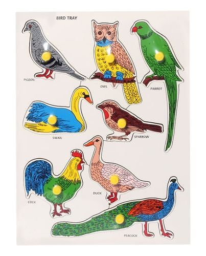 Little Genius Wooden Bird Tray - Multicolor