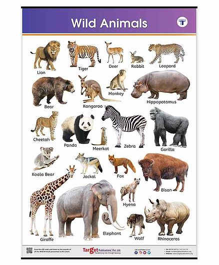 Target Publication Wild Animals Educational Chart - English
