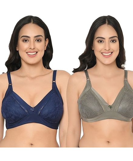 Curvy Love Solid Pack Of 2 Bra - Blue & Olive