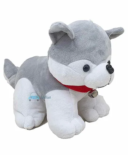 FunBlast Husky Puppy Soft Toy - Height 23.5 cm(Colour May Vary)