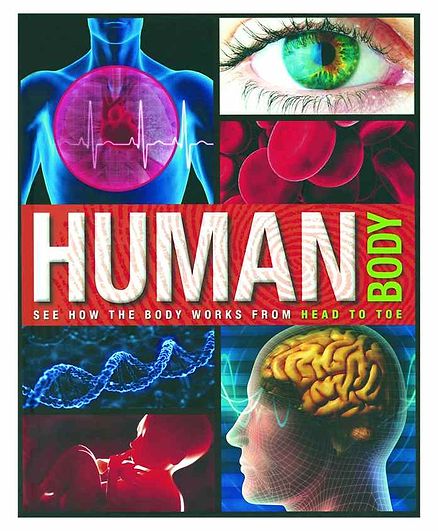 Parragon Human Body Book - English