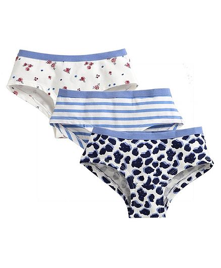 Charm n Cherish Striped & Flower Print Pack Of 3 Hipster Briefs - Blue