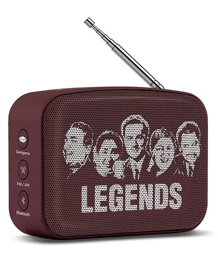 Saregama Carvaan Mini 2.0 Hindi Bluetooth Music Player - Brown