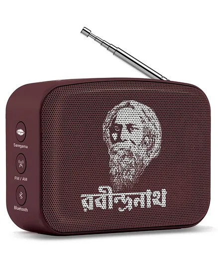 Saregama Carvaan Mini 2.0 Rabindrasangeet Bluetooth Music Player - Terracotta Brown