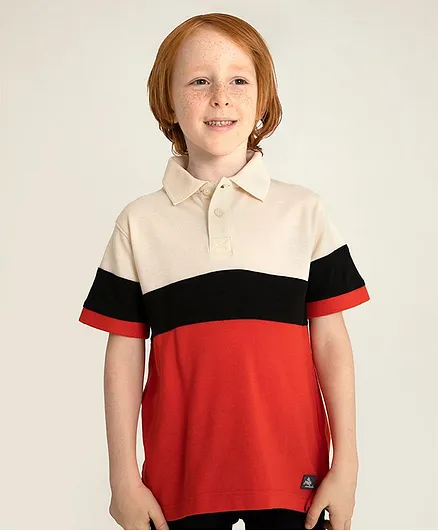 Cherry Crumble By Nitt Hyman Half Sleeves Color Block Polo T-Shirt - Multicolor
