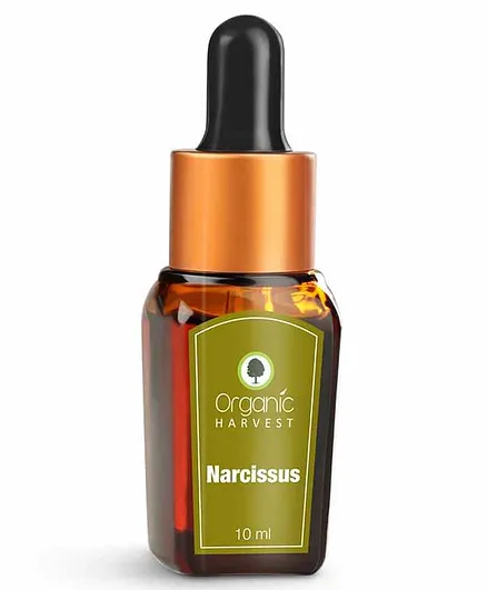 Organic Harvest Narcissus Essential Oil - 10 ml