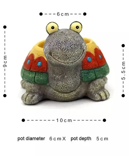 Craftopedia Paint Your Own Turtle Kit - Multicolour