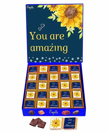 Expelite You Are Amazing Chocolates Gift - 400 gm