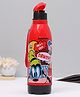 Disney By SKI Mickey Mouse Insulated Sipper Bottle 500 ml (Colour & Print May Vary)