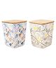 Earthism Eco Friendly Bamboo Fibre Canister Pack Of 2 - Multicolor