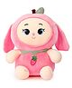 Fiddlerz 35 cm Bunny Soft Toy - (Colour May Vary)